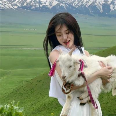 亲密搭档：无敌律师